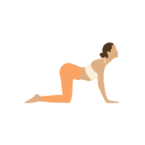 Cat-Cow Pose